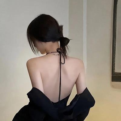 盗贼泰瑞莎